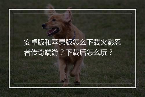 安卓版和苹果版怎么下载火影忍者传奇端游？下载后怎么玩？
