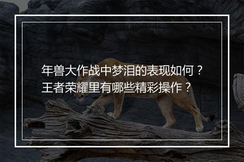 年兽大作战中梦泪的表现如何？王者荣耀里有哪些精彩操作？
