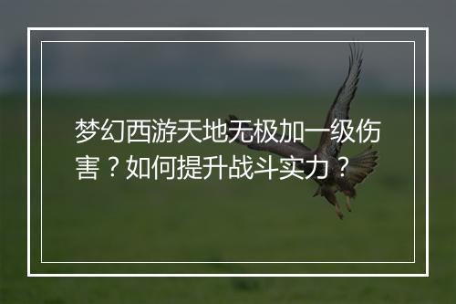 梦幻西游天地无极加一级伤害？如何提升战斗实力？