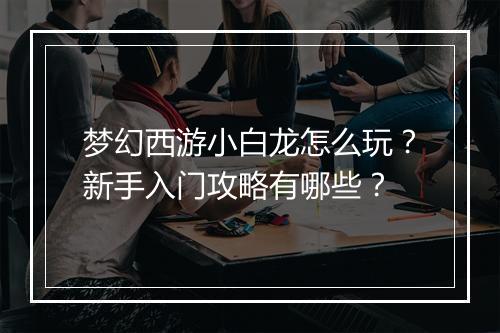 梦幻西游小白龙怎么玩？新手入门攻略有哪些？