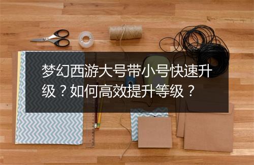 梦幻西游大号带小号快速升级？如何高效提升等级？