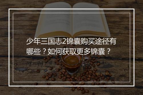 少年三国志2锦囊购买途径有哪些？如何获取更多锦囊？