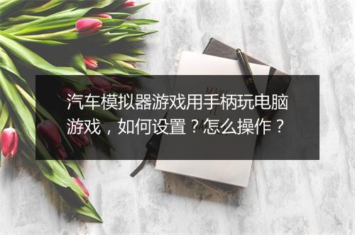 汽车模拟器游戏用手柄玩电脑游戏，如何设置？怎么操作？