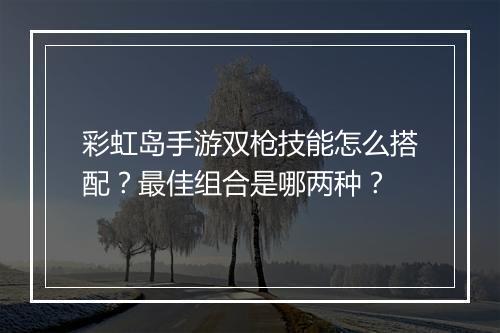 彩虹岛手游双枪技能怎么搭配？最佳组合是哪两种？