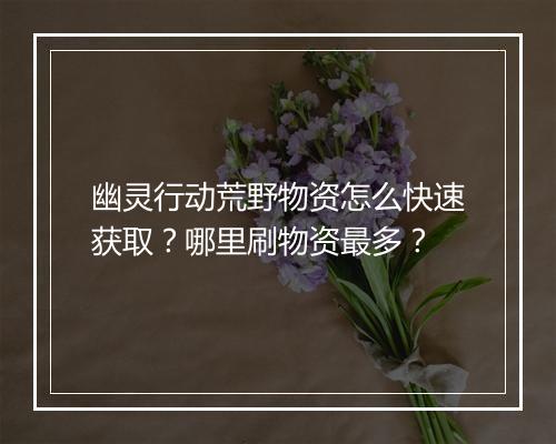 幽灵行动荒野物资怎么快速获取？哪里刷物资最多？