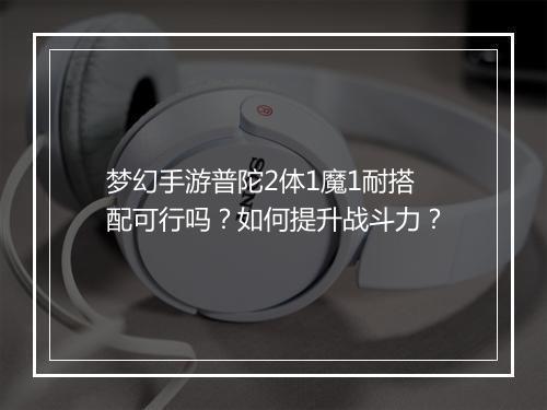 梦幻手游普陀2体1魔1耐搭配可行吗？如何提升战斗力？