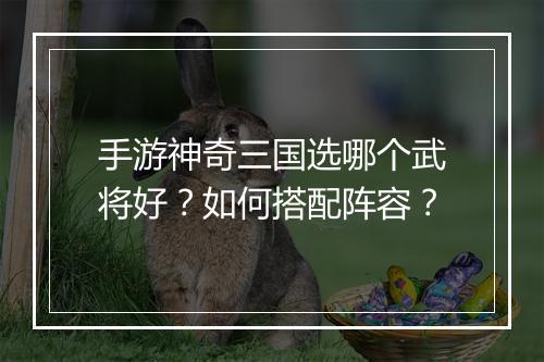 手游神奇三国选哪个武将好？如何搭配阵容？
