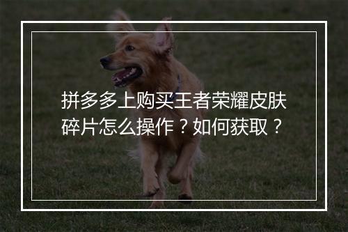 拼多多上购买王者荣耀皮肤碎片怎么操作？如何获取？