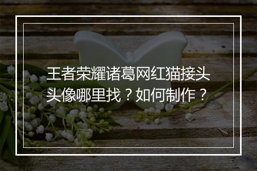 王者荣耀诸葛网红猫接头头像哪里找?如何制作?