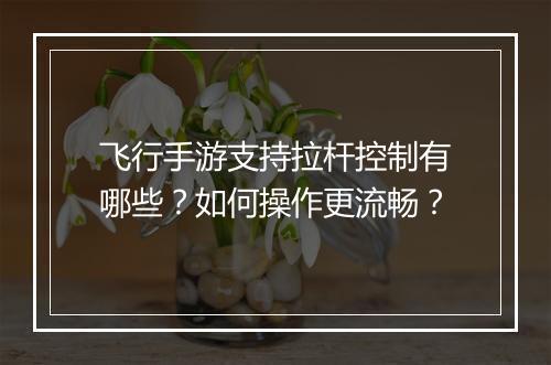 飞行手游支持拉杆控制有哪些?如何操作更流畅?