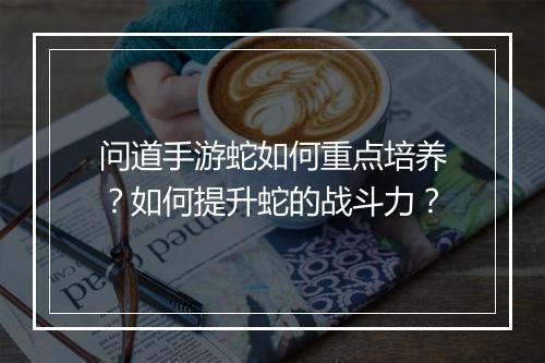 问道手游蛇如何重点培养?如何提升蛇的战斗力?
