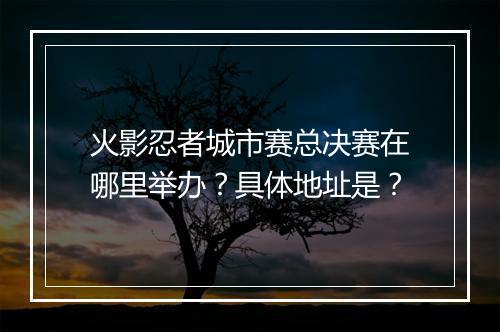 火影忍者城市赛总决赛在哪里举办？具体地址是？