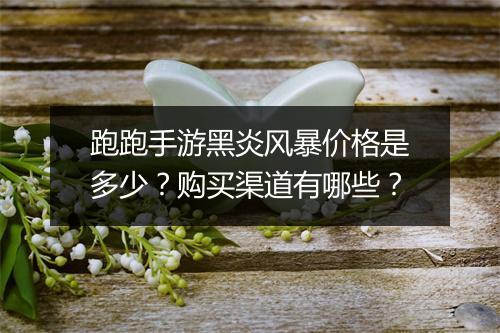 跑跑手游黑炎风暴价格是多少？购买渠道有哪些？