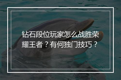 钻石段位玩家怎么战胜荣耀王者？有何独门技巧？