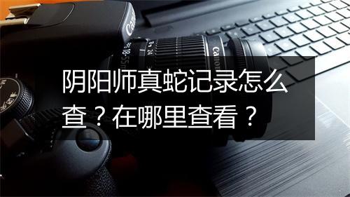 阴阳师真蛇记录怎么查?在哪里查看?