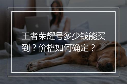 王者荣耀号多少钱能买到?价格如何确定?