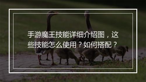 手游魔王技能详细介绍图，这些技能怎么使用？如何搭配？