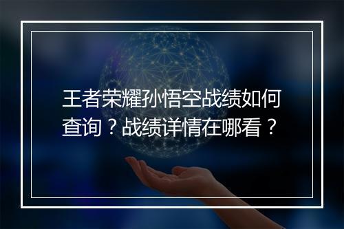王者荣耀孙悟空战绩如何查询？战绩详情在哪看？