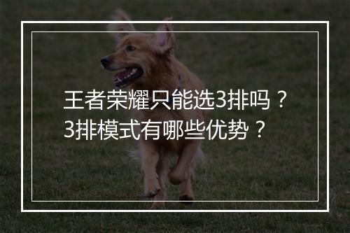 王者荣耀只能选3排吗?3排模式有哪些优势?