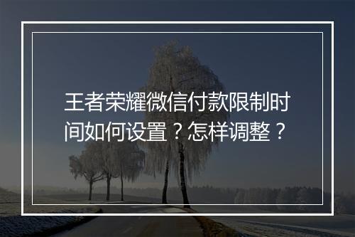 王者荣耀微信付款限制时间如何设置?怎样调整?