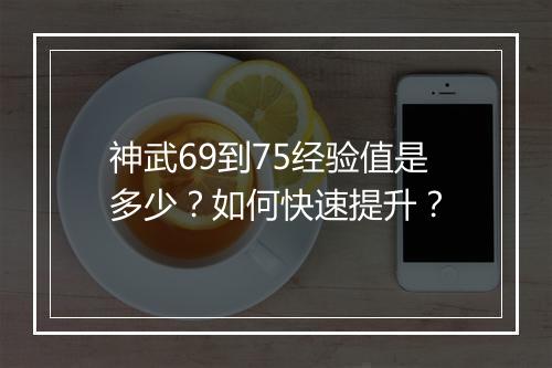 神武69到75经验值是多少?如何快速提升?