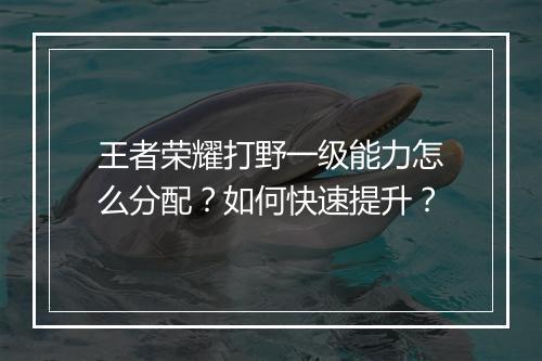 王者荣耀打野一级能力怎么分配？如何快速提升？