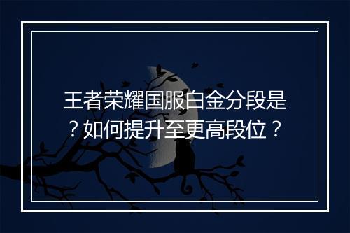 王者荣耀国服白金分段是?如何提升至更高段位?