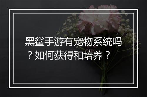 黑鲨手游有宠物系统吗?如何获得和培养?