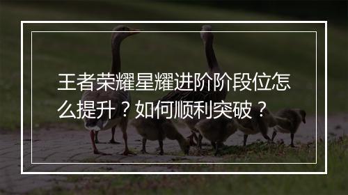 王者荣耀星耀进阶阶段位怎么提升?如何顺利突破?