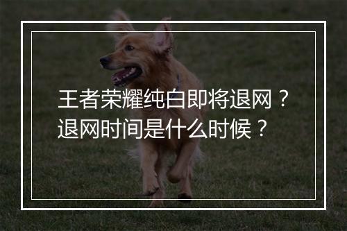 王者荣耀纯白即将退网?退网时间是什么时候?