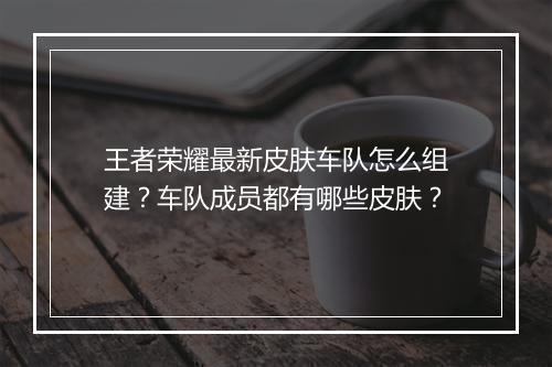 王者荣耀最新皮肤车队怎么组建?车队成员都有哪些皮肤?