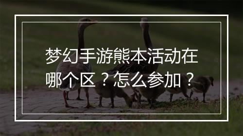 梦幻手游熊本活动在哪个区？怎么参加？