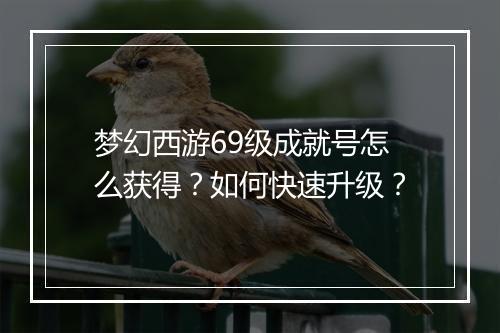 梦幻西游69级成就号怎么获得?如何快速升级?
