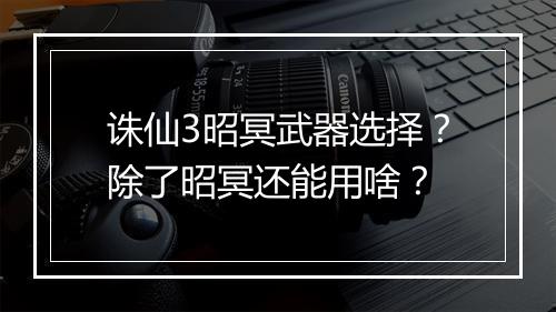 诛仙3昭冥武器选择?除了昭冥还能用啥?