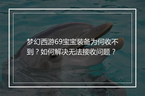 梦幻西游69宝宝装备为何收不到？如何解决无法接收问题？