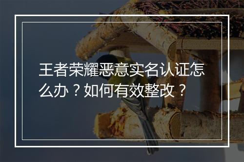 王者荣耀恶意实名认证怎么办?如何有效整改?