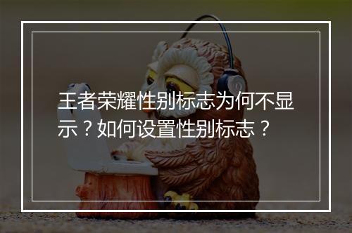 王者荣耀性别标志为何不显示？如何设置性别标志？