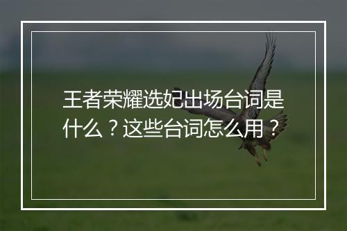 王者荣耀选妃出场台词是什么?这些台词怎么用?