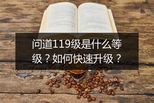问道119级是什么等级?如何快速升级?