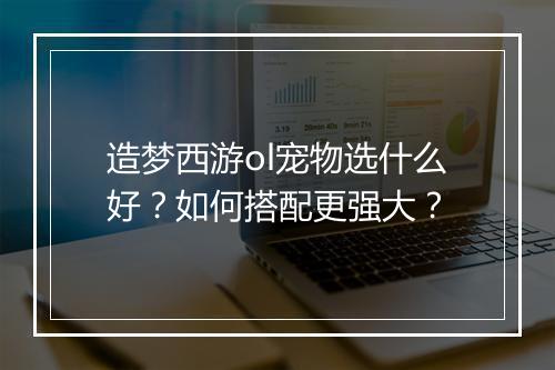造梦西游ol宠物选什么好?如何搭配更强大?