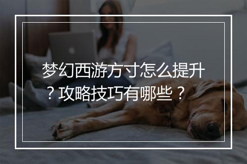 梦幻西游方寸怎么提升?攻略技巧有哪些?