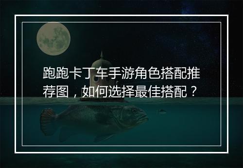 跑跑卡丁车手游角色搭配推荐图,如何选择最佳搭配?