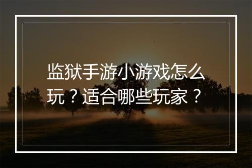 监狱手游小游戏怎么玩?适合哪些玩家?