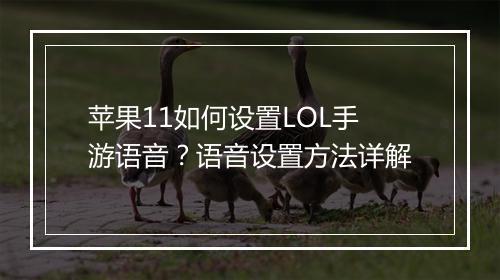 苹果11如何设置LOL手游语音?语音设置方法详解