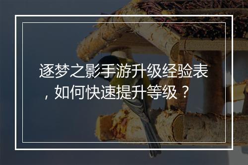逐梦之影手游升级经验表,如何快速提升等级?