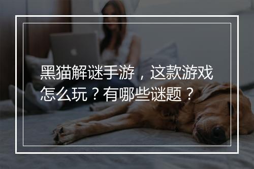 黑猫解谜手游,这款游戏怎么玩?有哪些谜题?