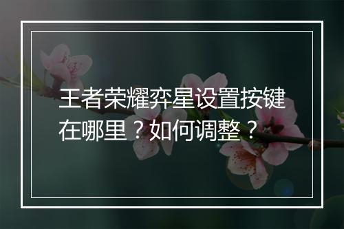 王者荣耀弈星设置按键在哪里？如何调整？