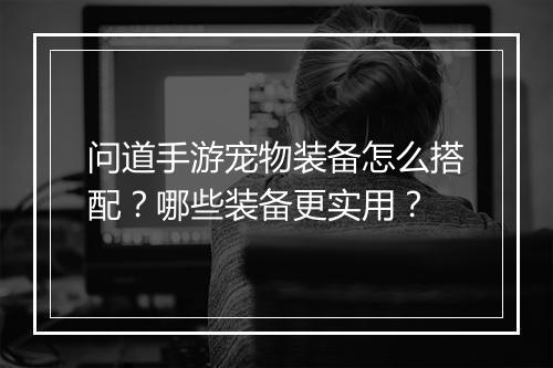 问道手游宠物装备怎么搭配？哪些装备更实用？