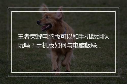 王者荣耀电脑版可以和手机版组队玩吗?手机版如何与电脑版联机?