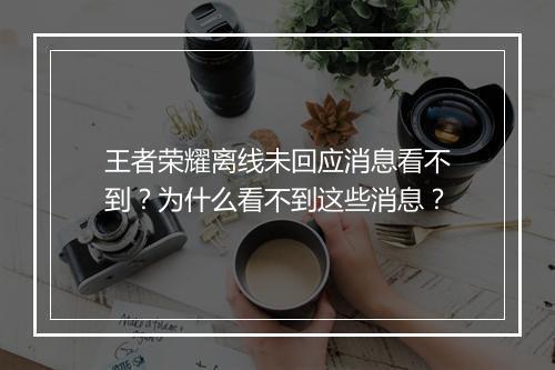 王者荣耀离线未回应消息看不到?为什么看不到这些消息?